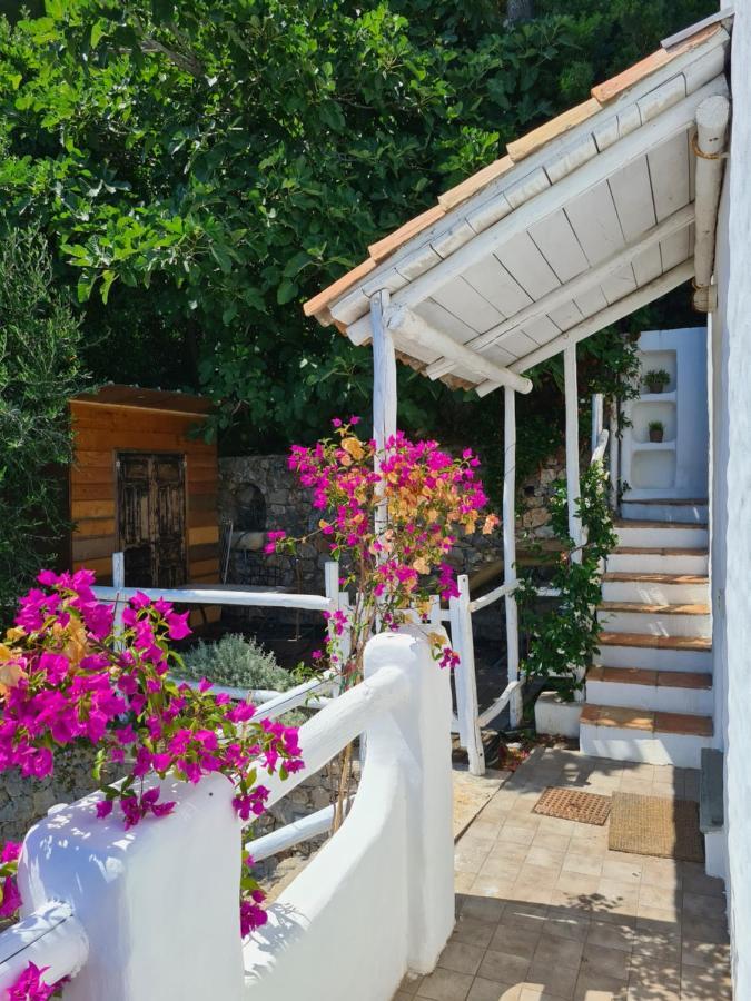 Soqquadro Art&Relax - Spotorno Daire Dış mekan fotoğraf