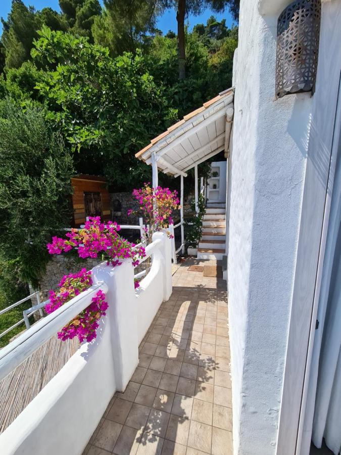 Soqquadro Art&Relax - Spotorno Daire Dış mekan fotoğraf